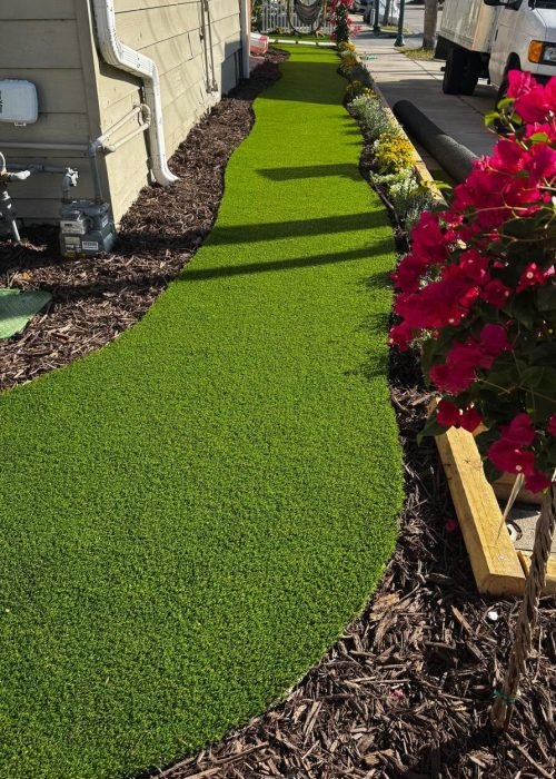 WhatsApp Image 2026-02-20 at 9.41.20 AM (2)